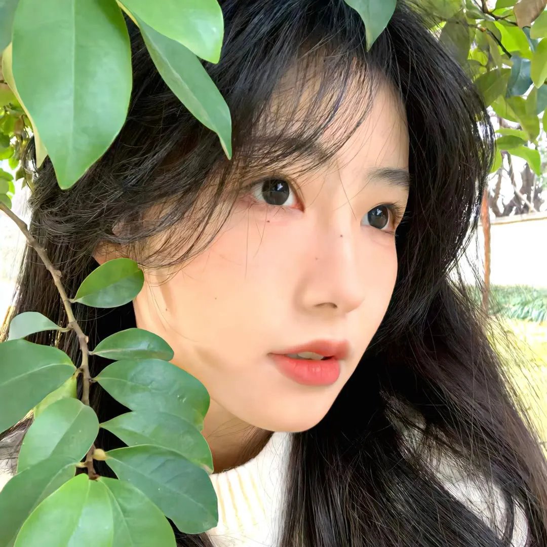 钢木兰